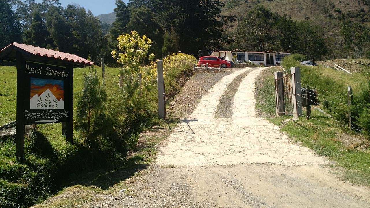 ホテル Pinares Del Carrizalito El Cocuy エクステリア 写真